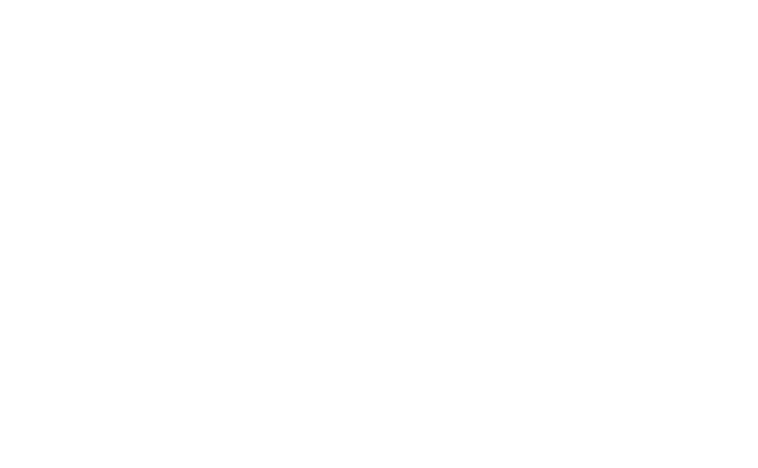COY ACADEMIA